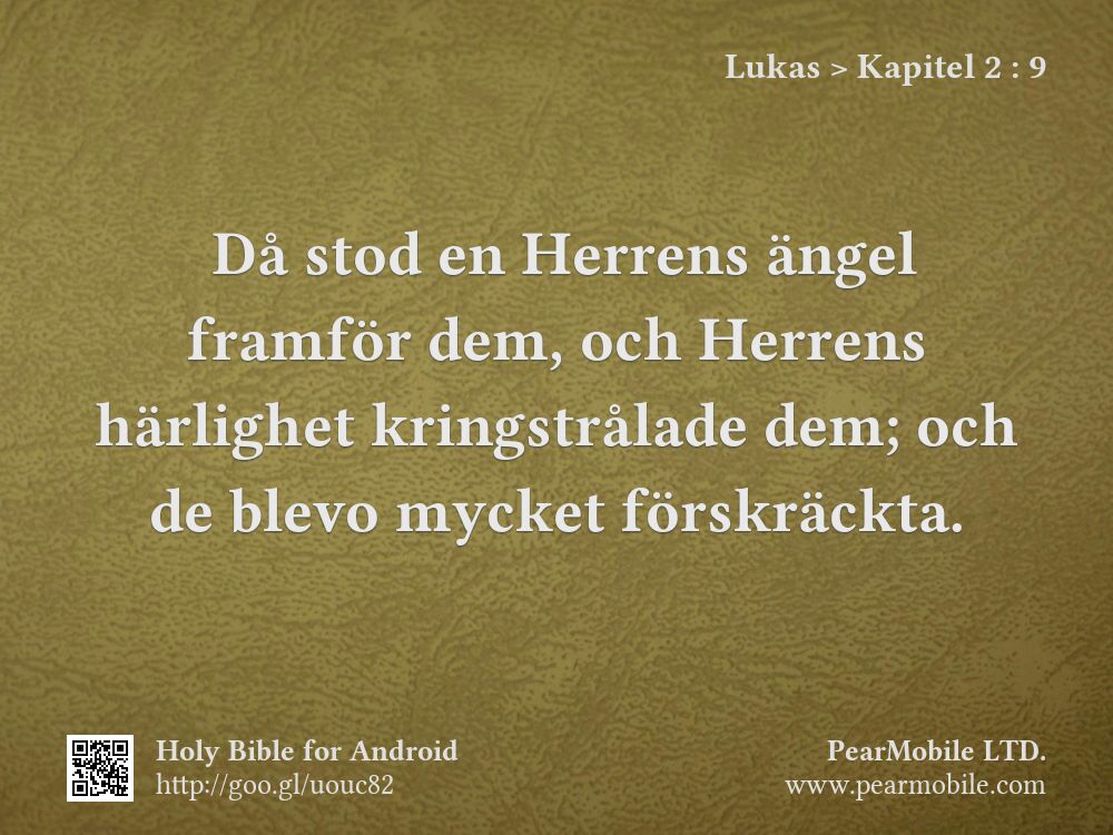 Lukas, Kapitel 2:9